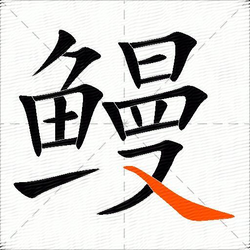 鳗