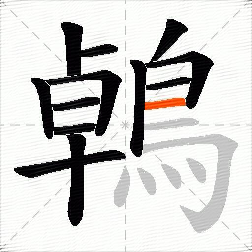 鵫