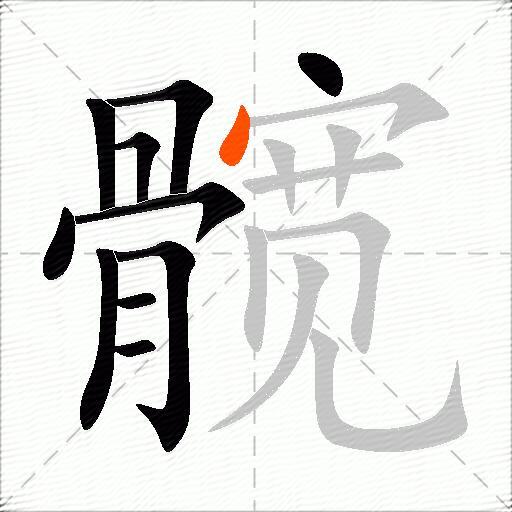 髋