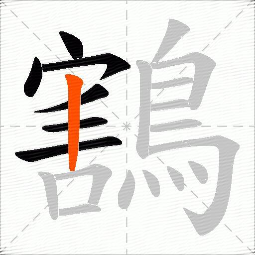 鶷