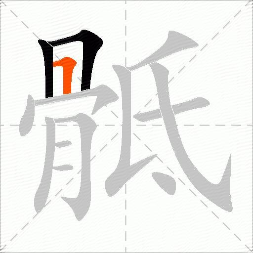 骶