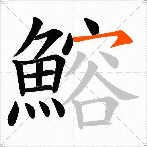 鰫