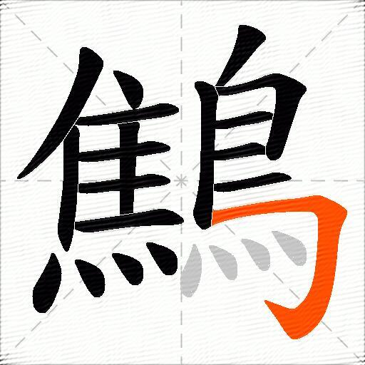 鷦