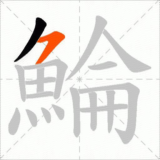 鯩
