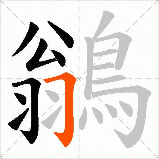 鶲