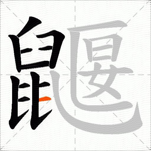 鼴