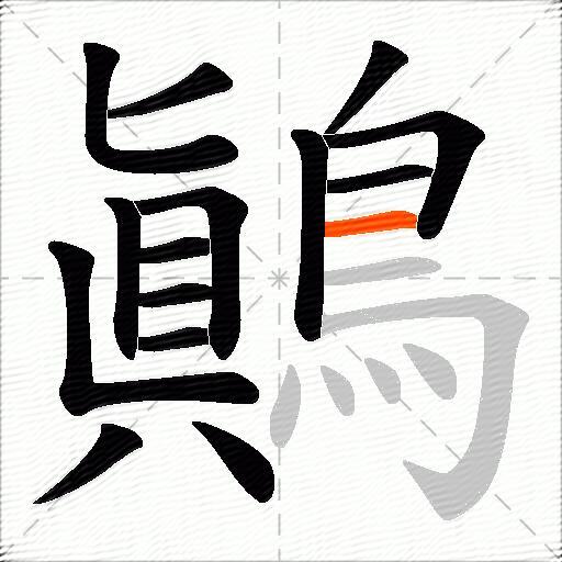 鷆