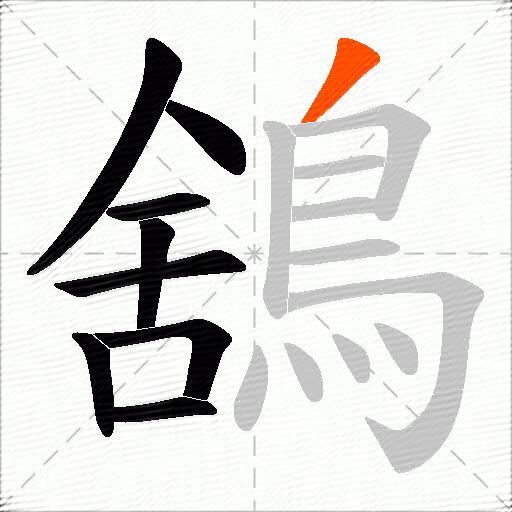 鵨