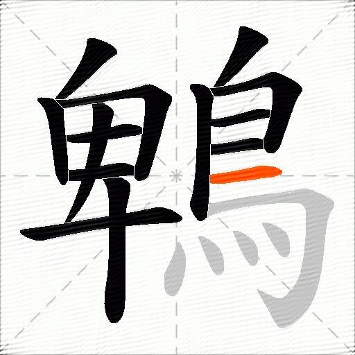 鵯