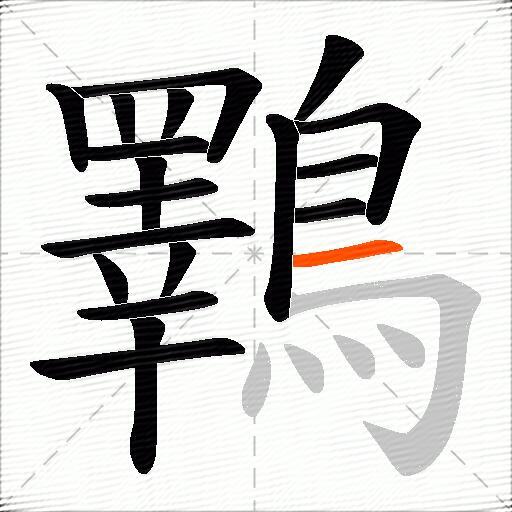 鸅