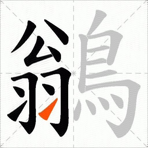 鶲