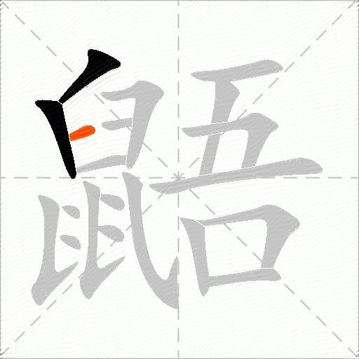 鼯