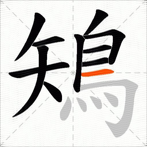鴙