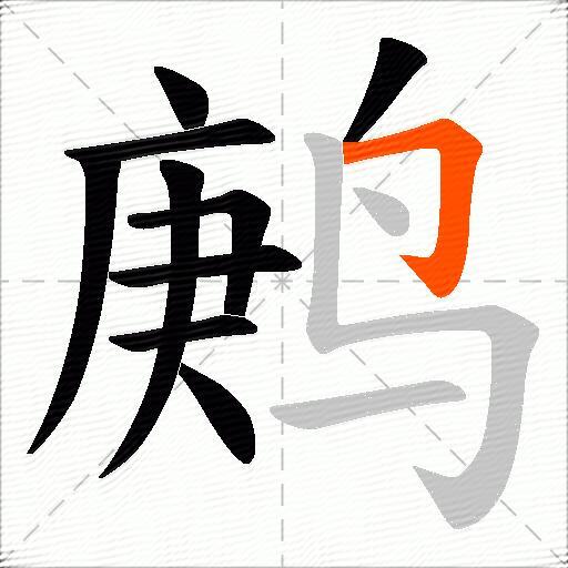 鹒