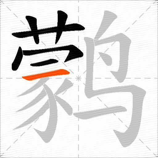鹲