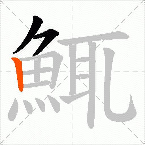 鮿
