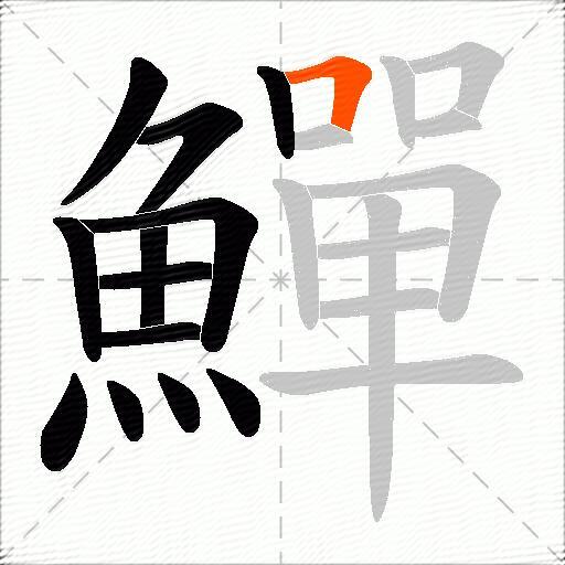 鱓