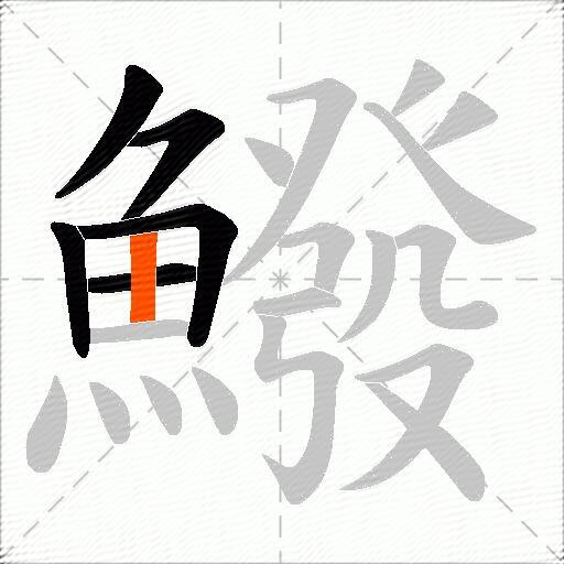 鱍
