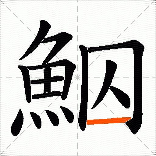 鮂