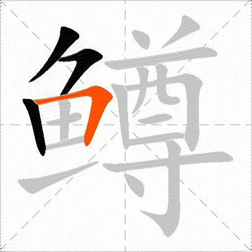 鳟