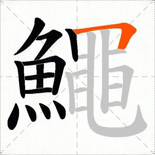 鱦