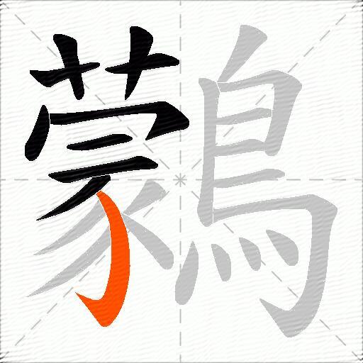 鸏