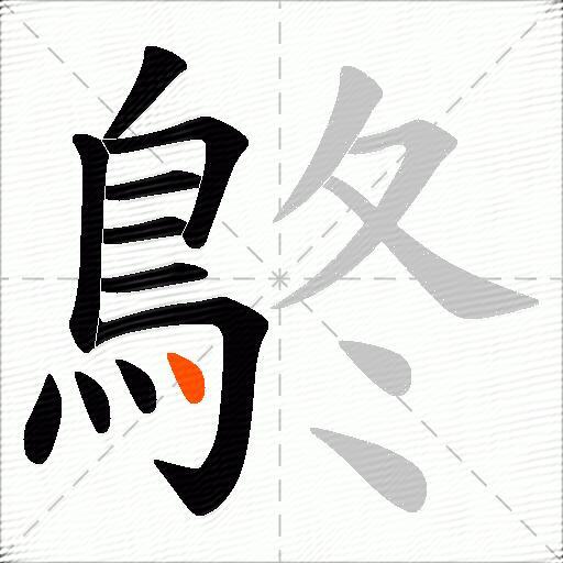 鴤