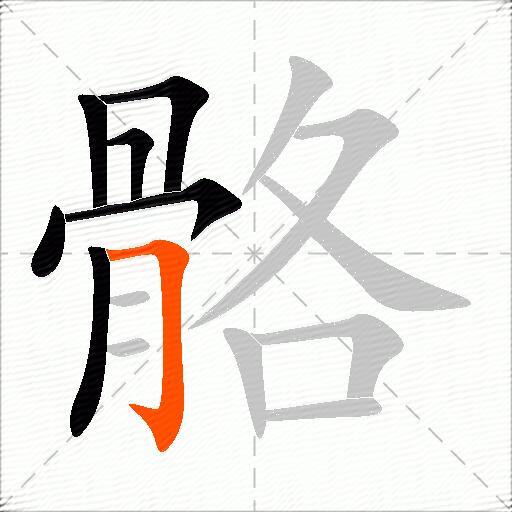 骼