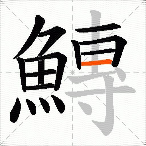 鱄