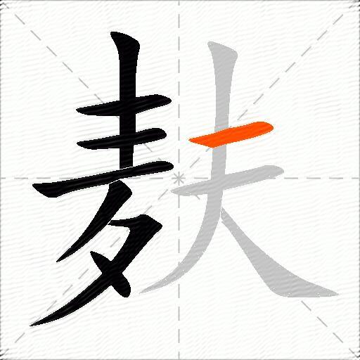 麸