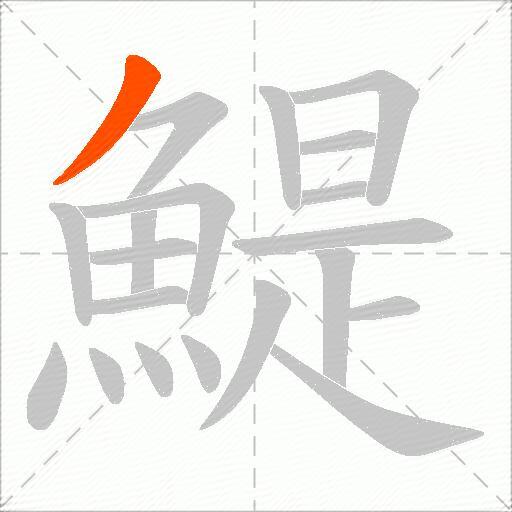 鯷
