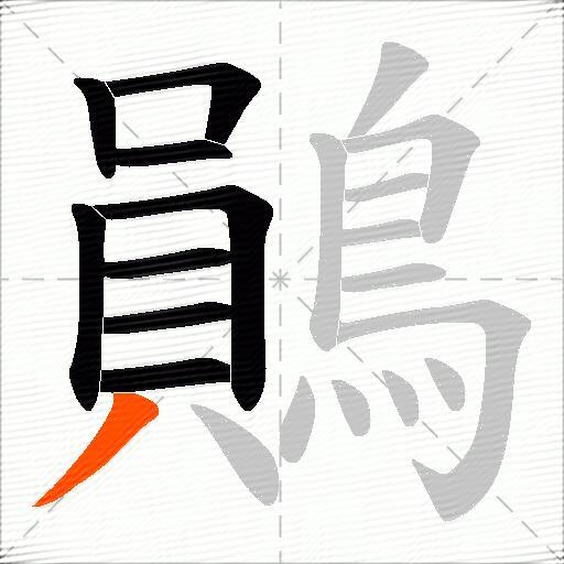 鶰