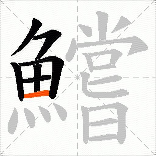 鱨