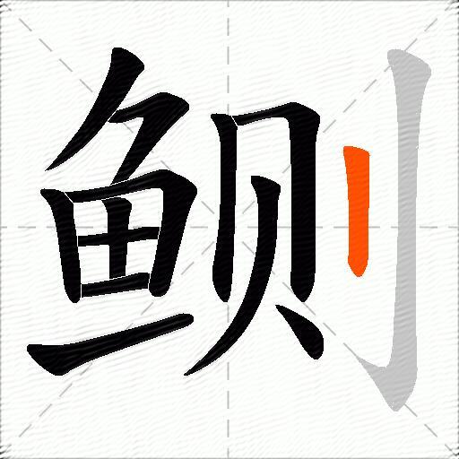 鲗