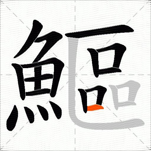 鰸