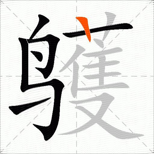 鹱