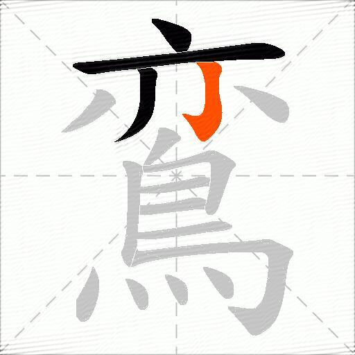 鵉