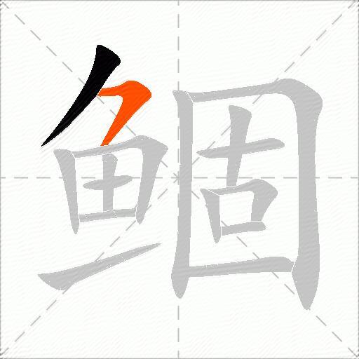 鲴