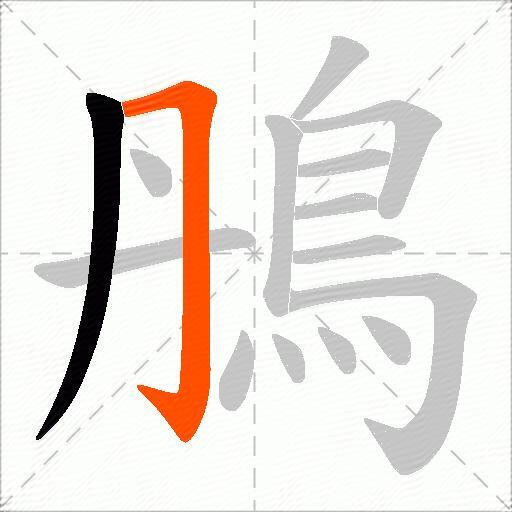 鴅