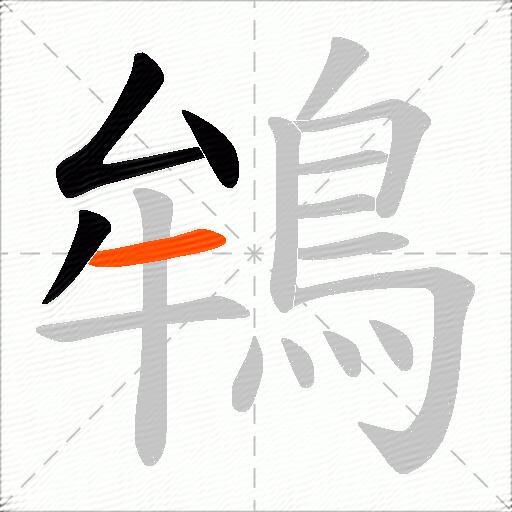 鴾