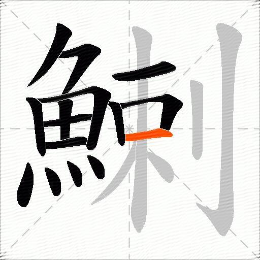 鯻