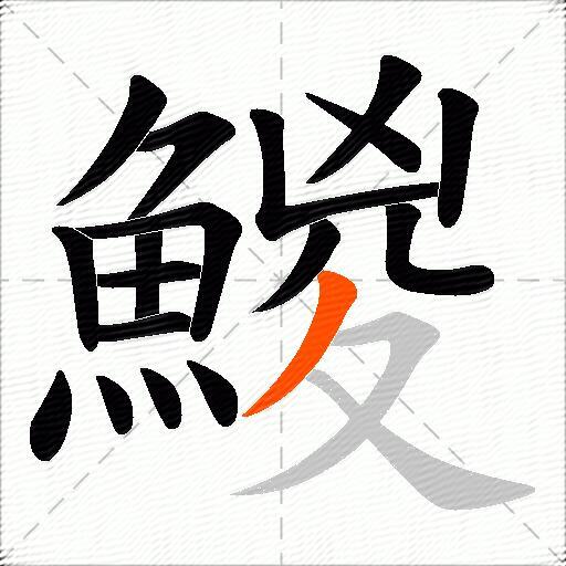 鯼