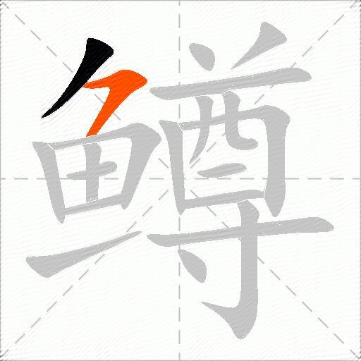 鳟
