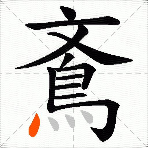 鴍