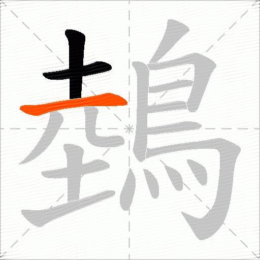 鵱