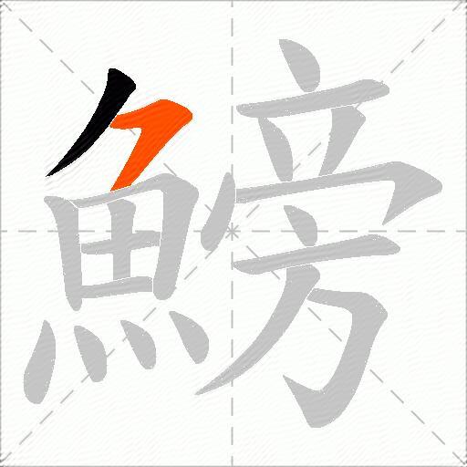 鰟