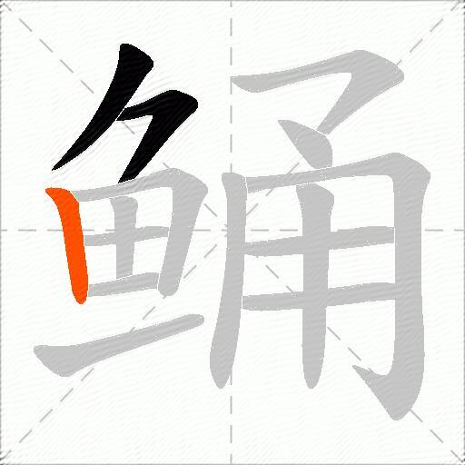 鲬