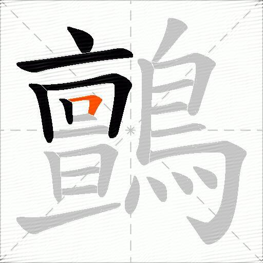 鸇
