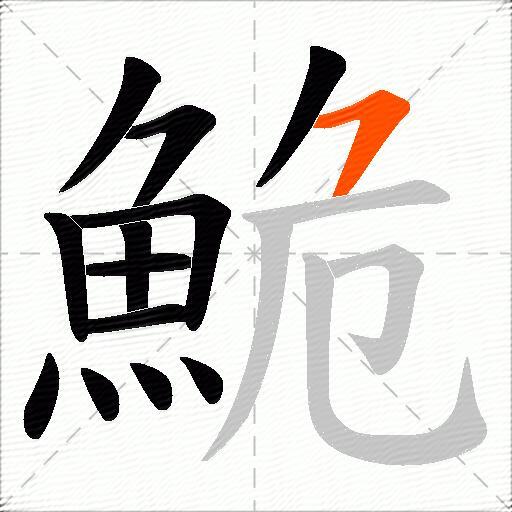 鮠
