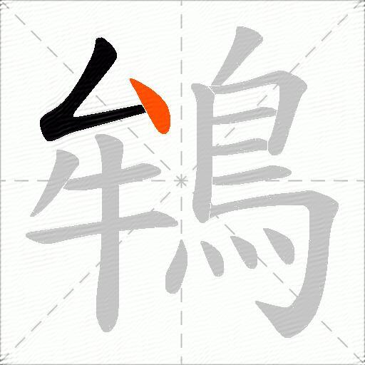 鴾